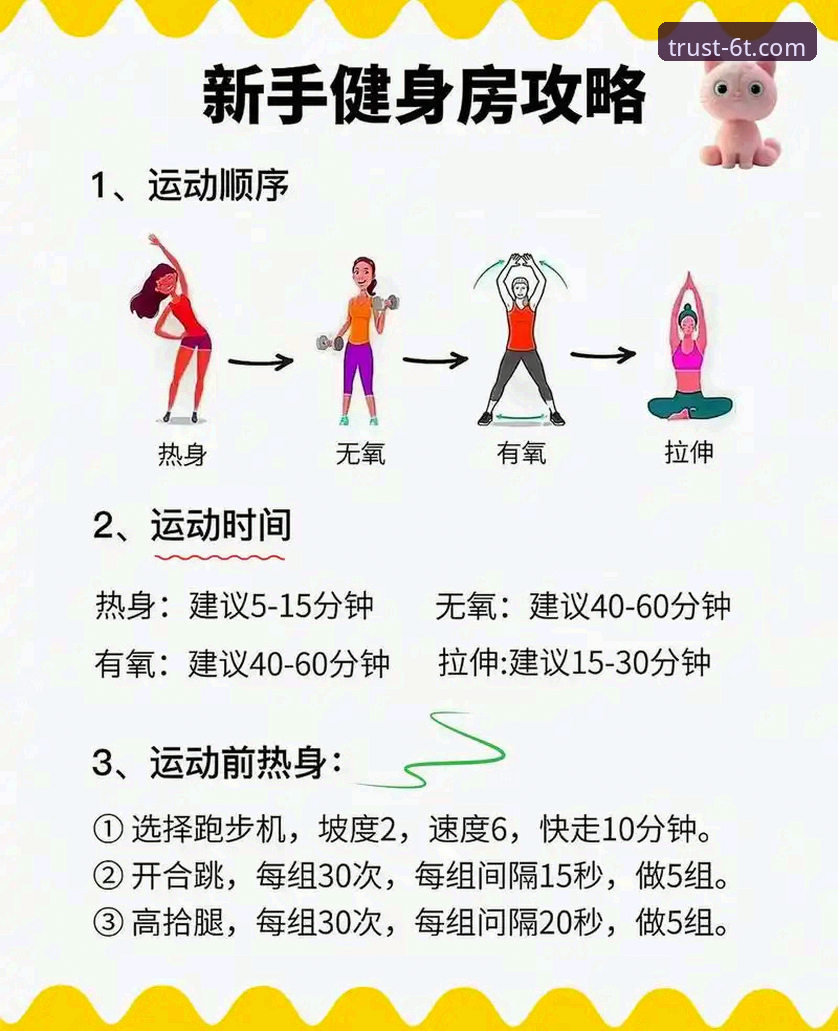 6T体育官网使用教程：从入门到精通的完整操作指南